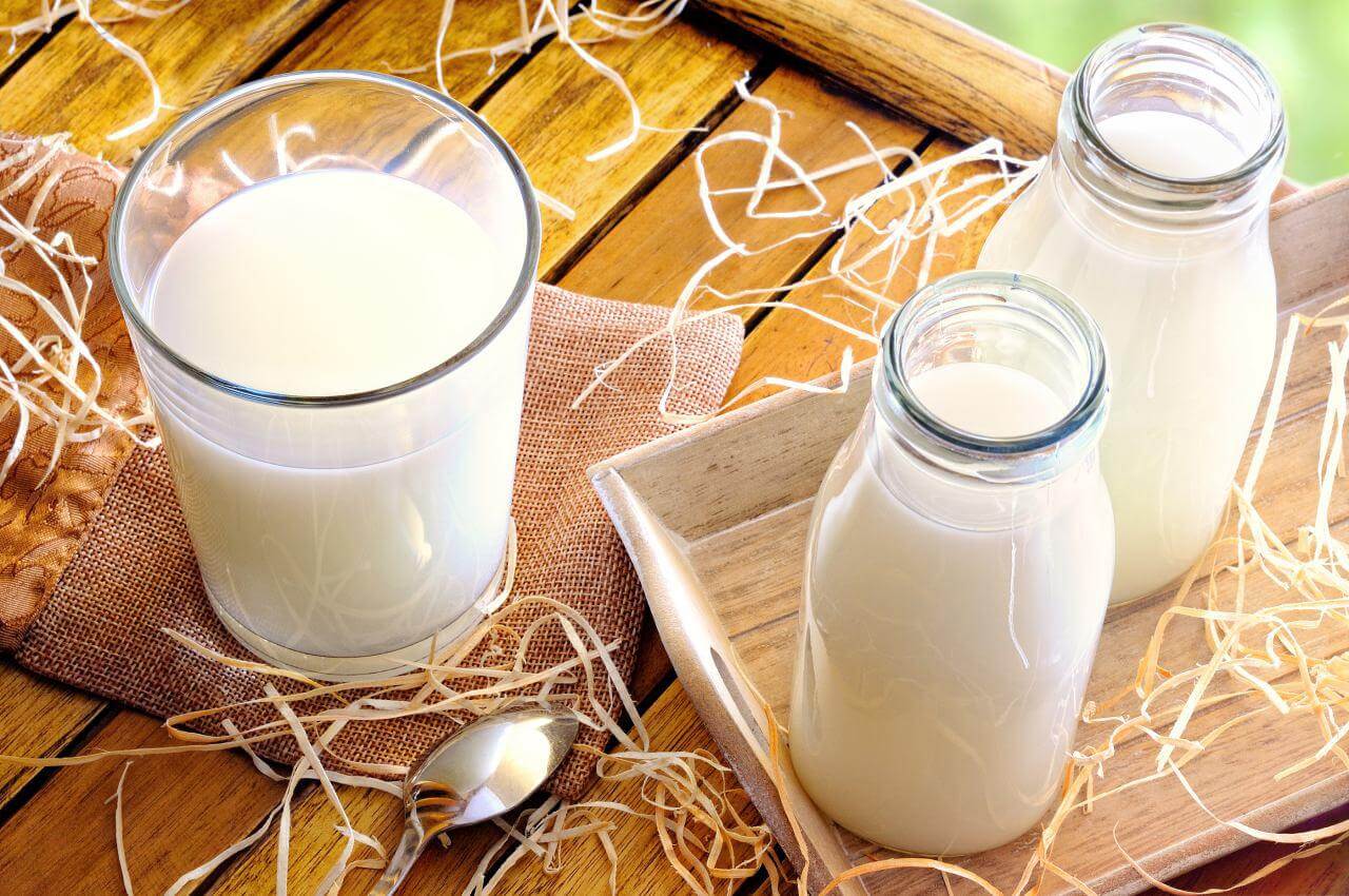 اهمیت شیر ومحصولات لبنی در رژیم غذایی سلامت