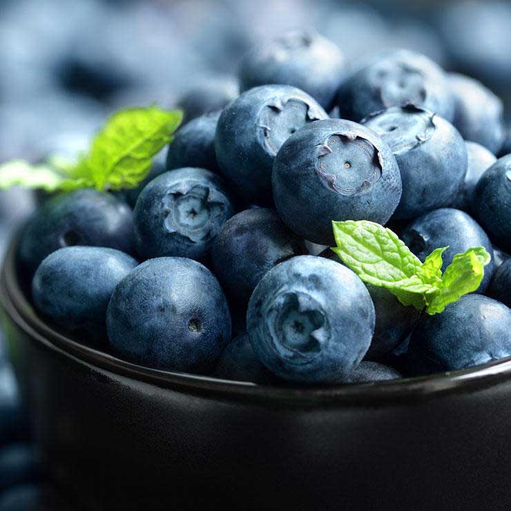 shutterstock 191954015 blueberries brian a jackson 0 min مقالات غذاهای ضد سرطان کدامند؟