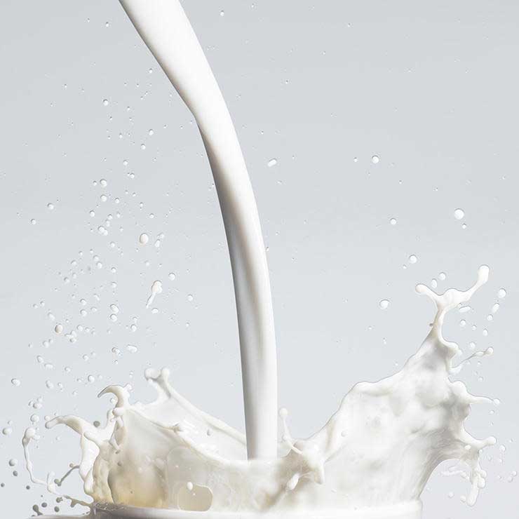 shutterstock 236582692 milk somchaij min مقالات غذاهای ضد سرطان کدامند؟