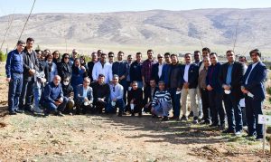 روز درختکاری