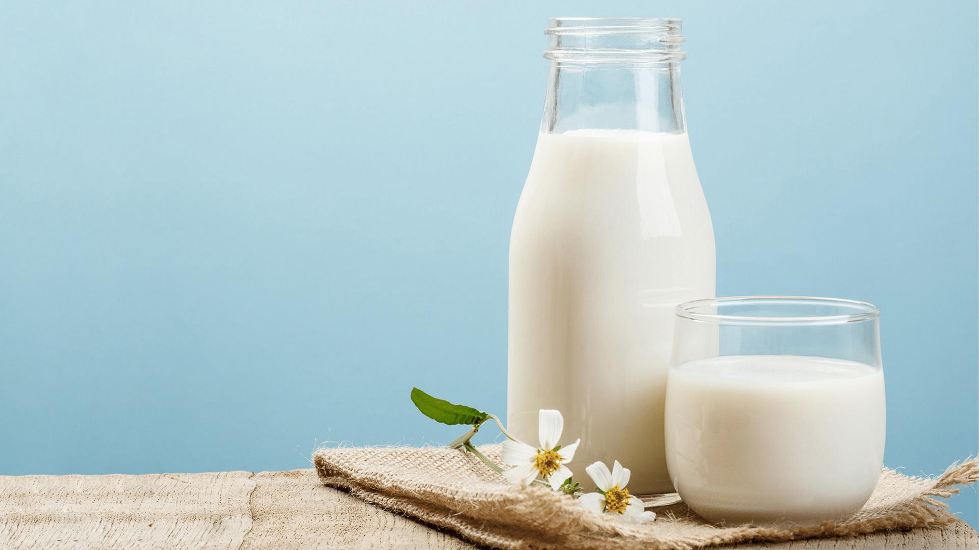 پروتئین شیر چقدر است؟