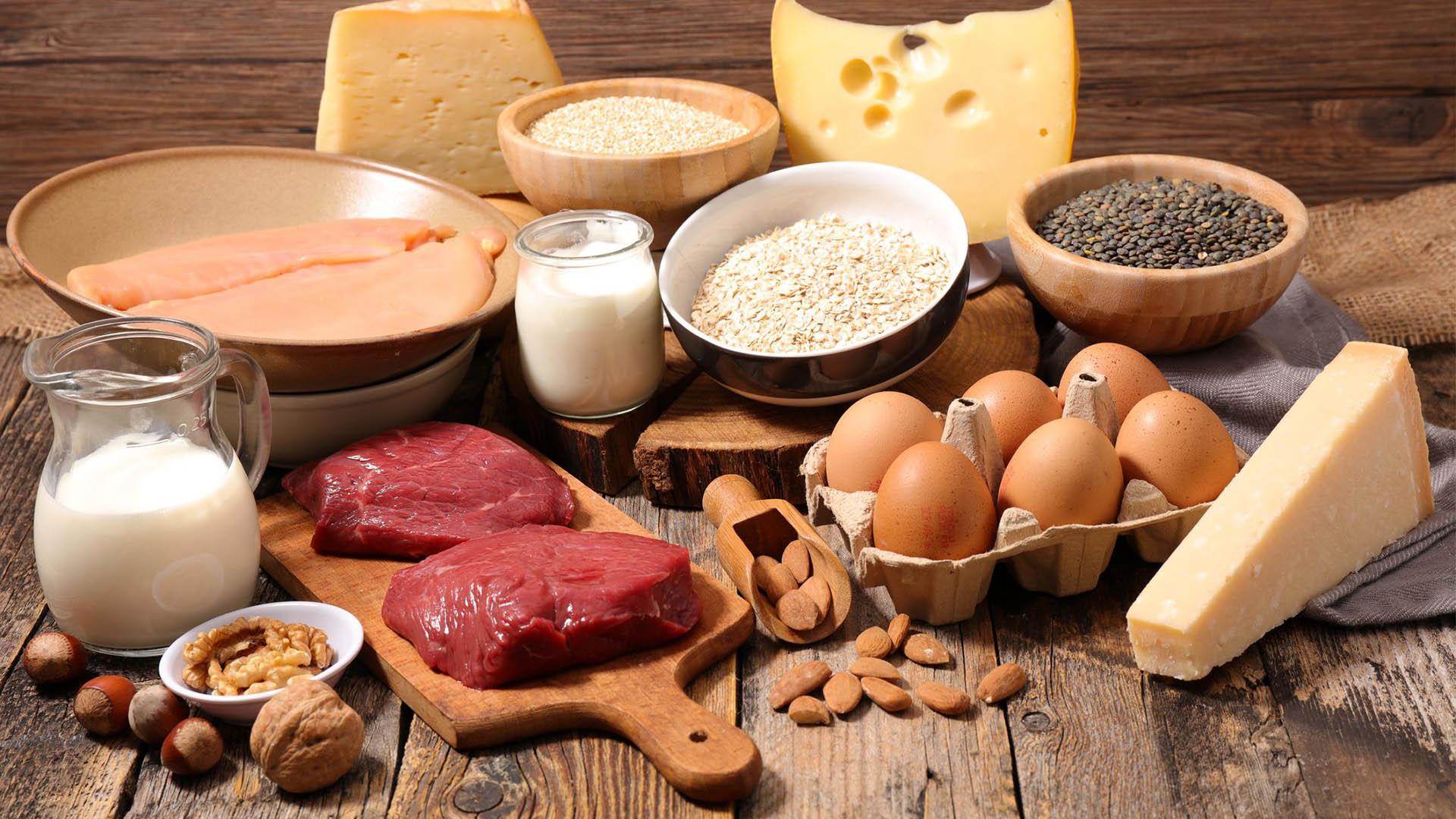 پروتئین در چه مواد غذایی وجود دارد؟