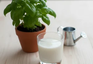 شیر برای چه گیاهانی مفید است