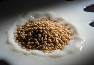 مقایسه کلسیم کنجد با شیر